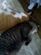031227_2131~001.jpg