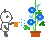 pandaani249b.gif